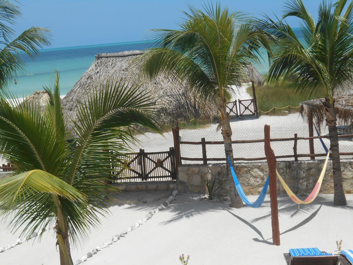 Appart hôtel Apartments&suites 3*